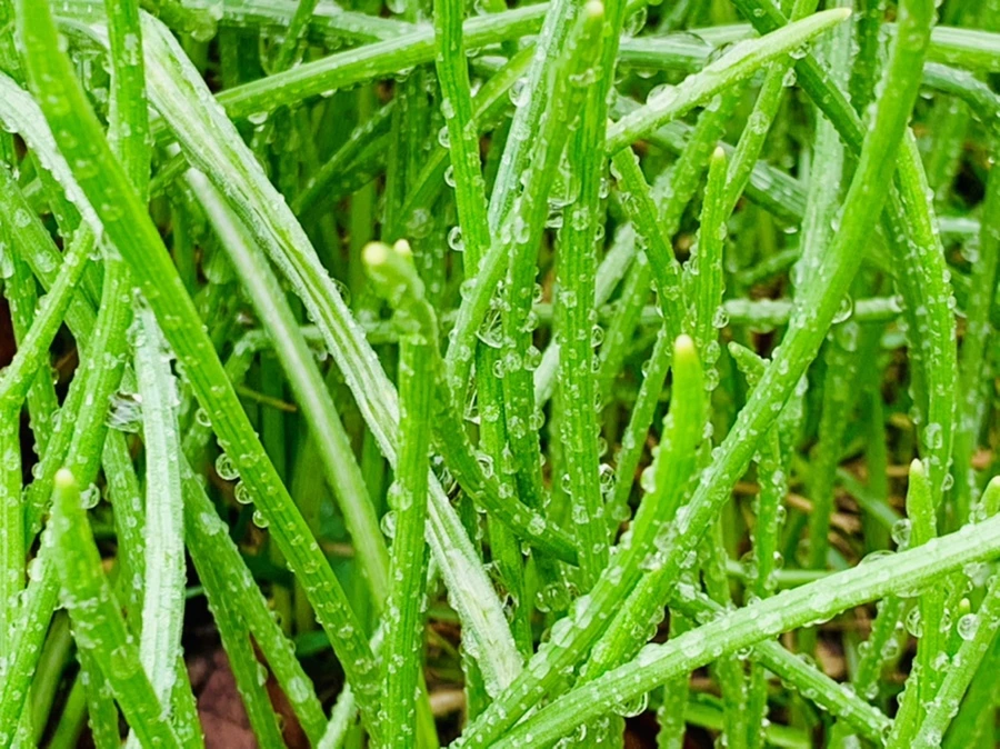 IMG_5039.jpg?type=w966