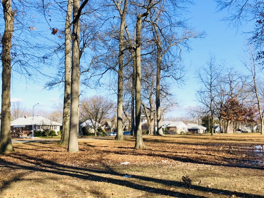 IMG_0252.jpg?type=w966