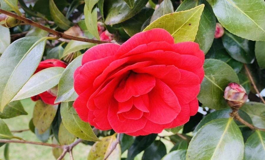 IMG_6796.jpg?type=w966