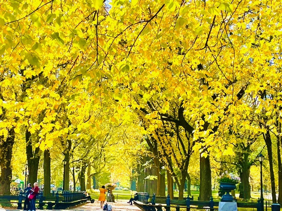 IMG_1620.jpg?type=w966