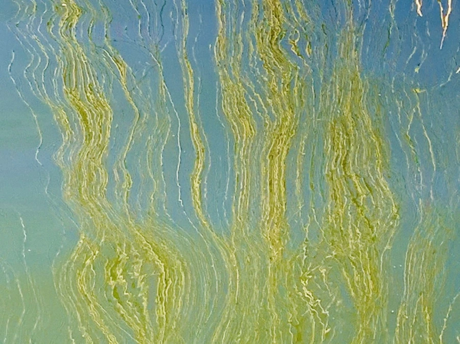 IMG_0590.jpg?type=w966