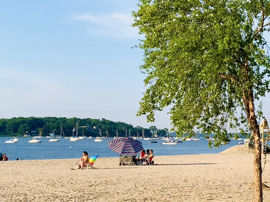 W8DVrsbkhgKLRpt8Np1xLL6dKTY