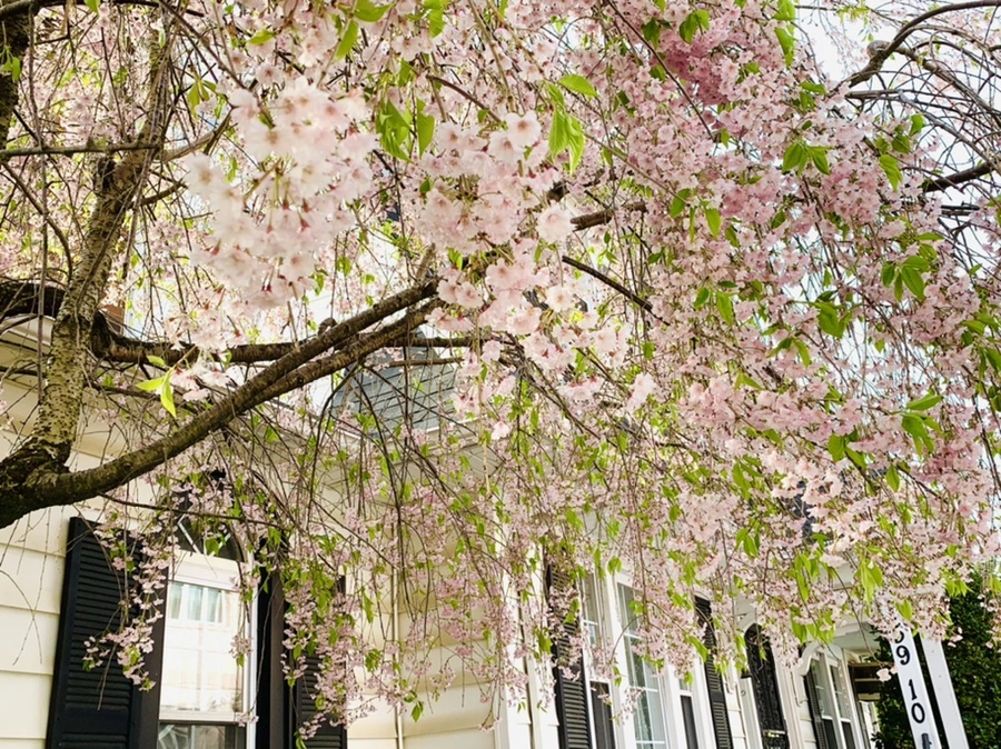 IMG_6696.jpg?type=w966