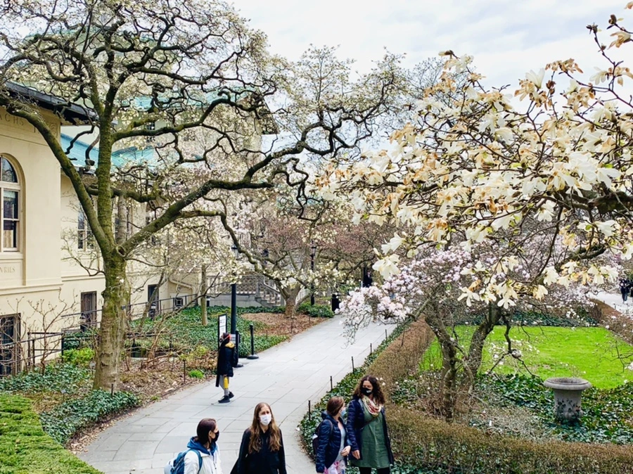 IMG_7133.jpg?type=w966