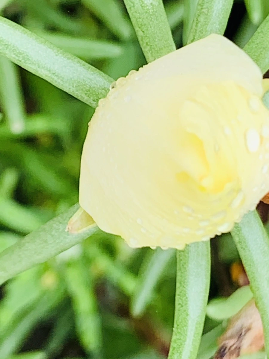 6VY2n14CqSQ0IHBqswJxuVE58kQ