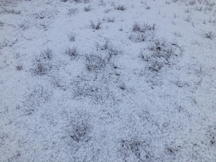 IMG_4509.jpg?type=w966