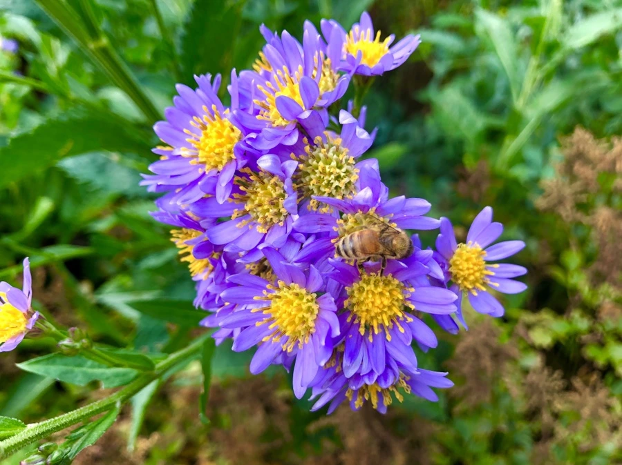 IMG_2062.jpg?type=w966