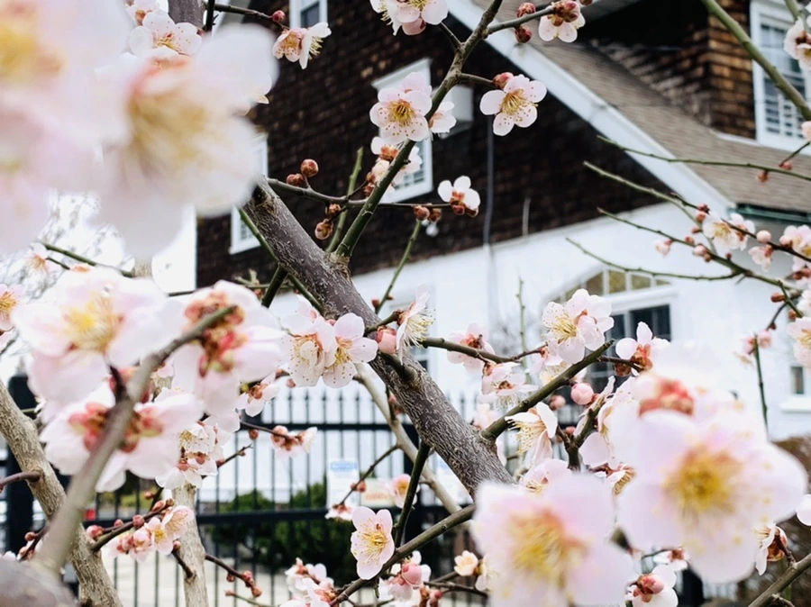 IMG_1670.jpg?type=w966