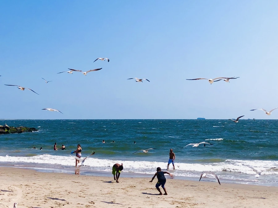 IMG_7248.jpg?type=w966