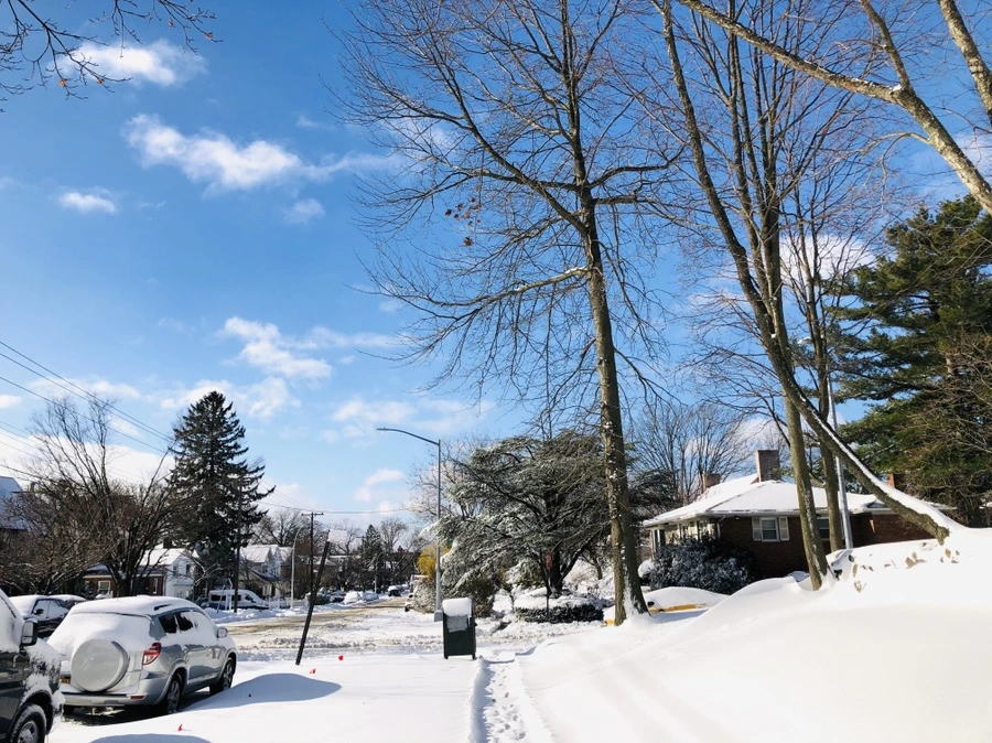 IMG_6963.jpg?type=w966