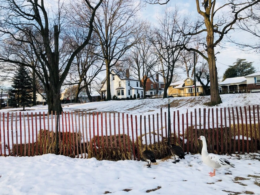 IMG_3213.jpg?type=w966