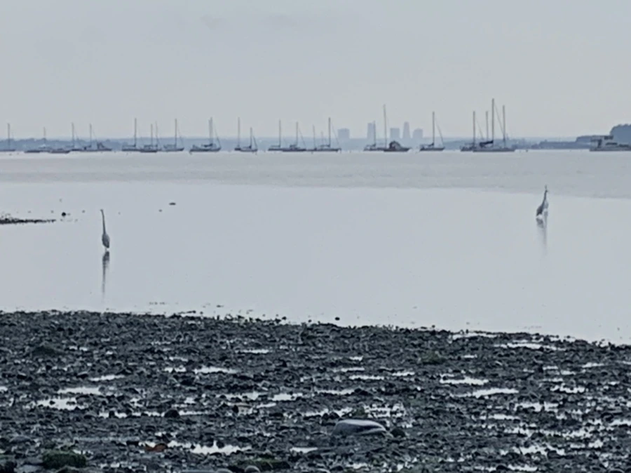 IMG_8105.jpg?type=w966