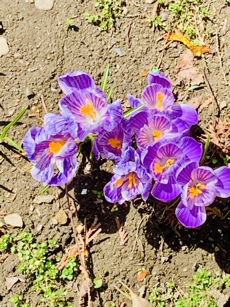 IMG_3127.jpg?type=w966