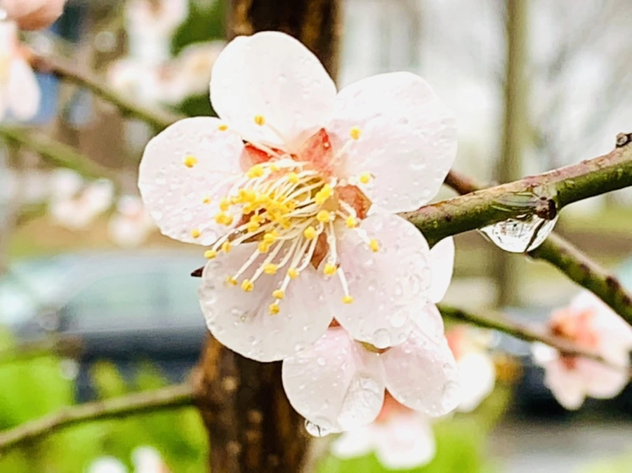 IMG_1997.jpg?type=w966