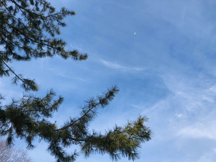 IMG_3096.jpg?type=w966