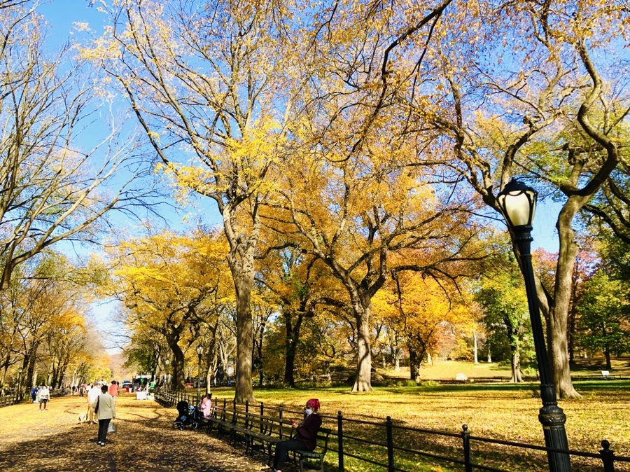 IMG_4250.jpg?type=w966