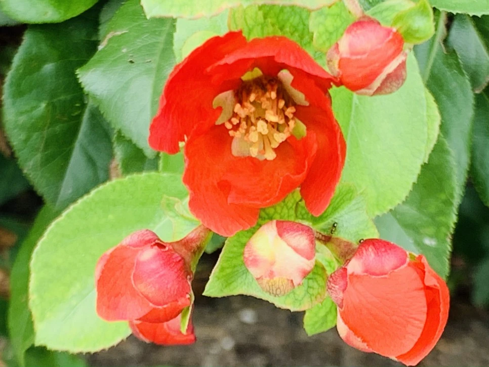 IMG_9349.jpg?type=w966