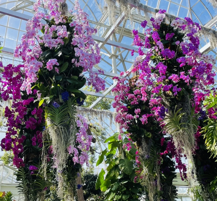 IMG_6475.jpg?type=w966