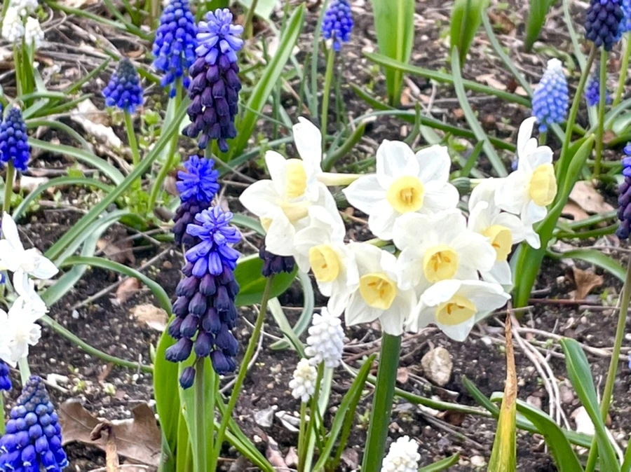 IMG_0391.jpg?type=w966