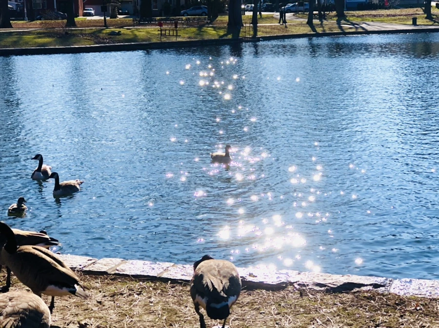 IMG_0205.jpg?type=w966