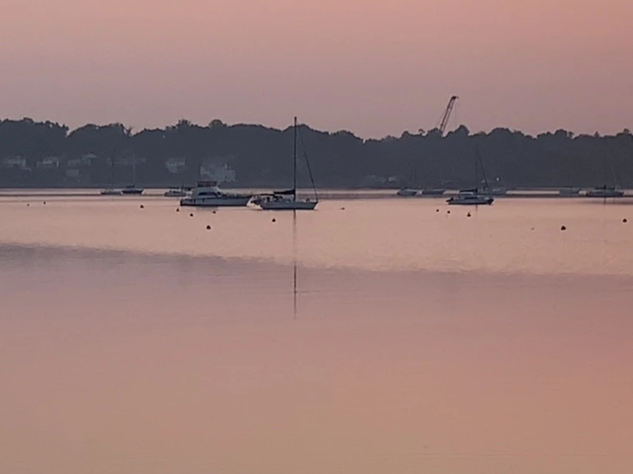 IMG_1993.jpg?type=w966