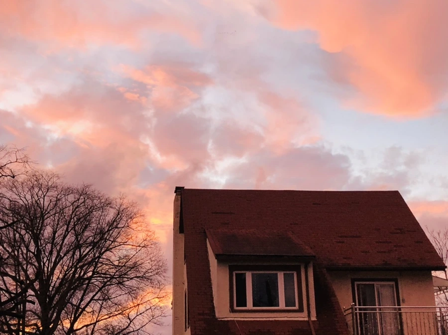 IMG_8250.jpg?type=w966