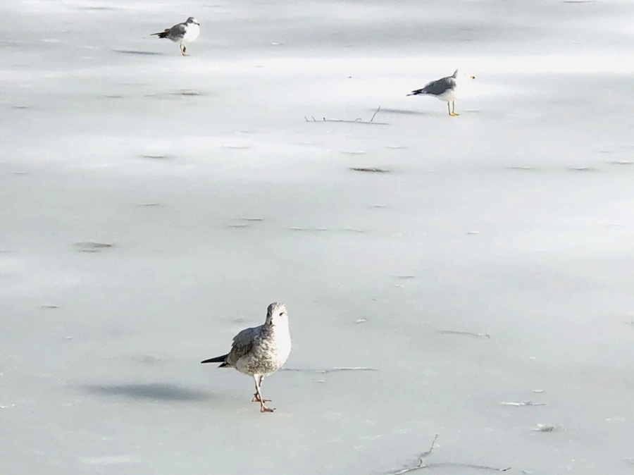 IMG_0156.jpg?type=w966