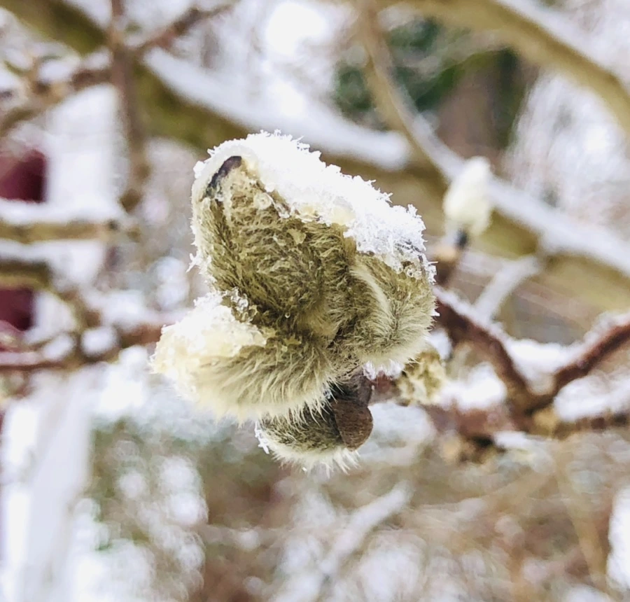 IMG_3566.jpg?type=w966