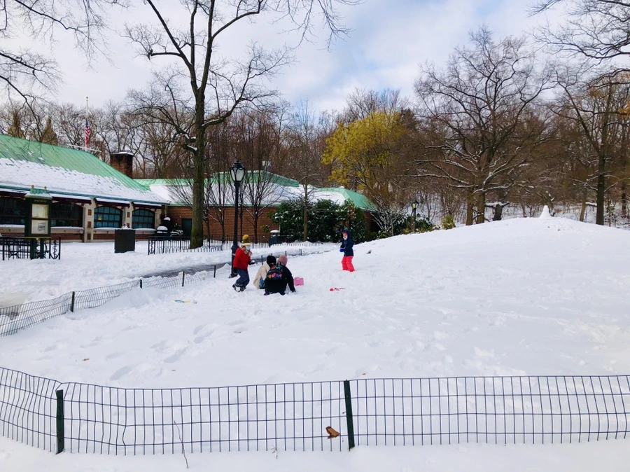 IMG_7340.jpg?type=w966