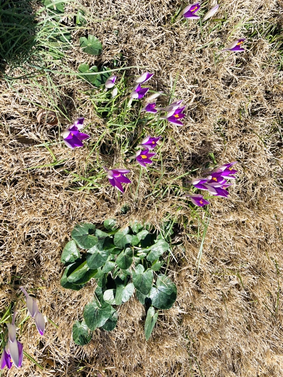 IMG_8224.jpg?type=w966