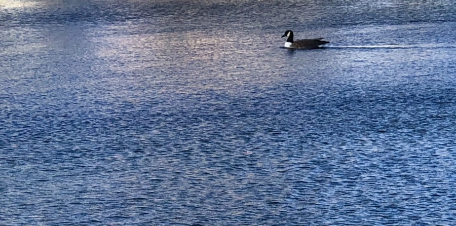 IMG_3899.jpg?type=w966