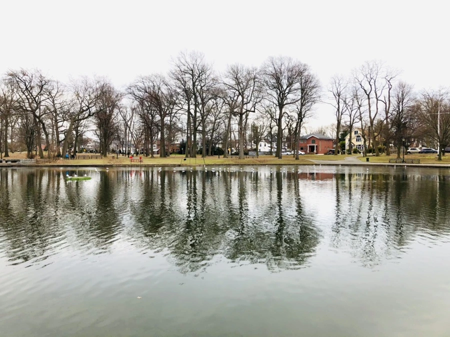 IMG_0989.jpg?type=w966