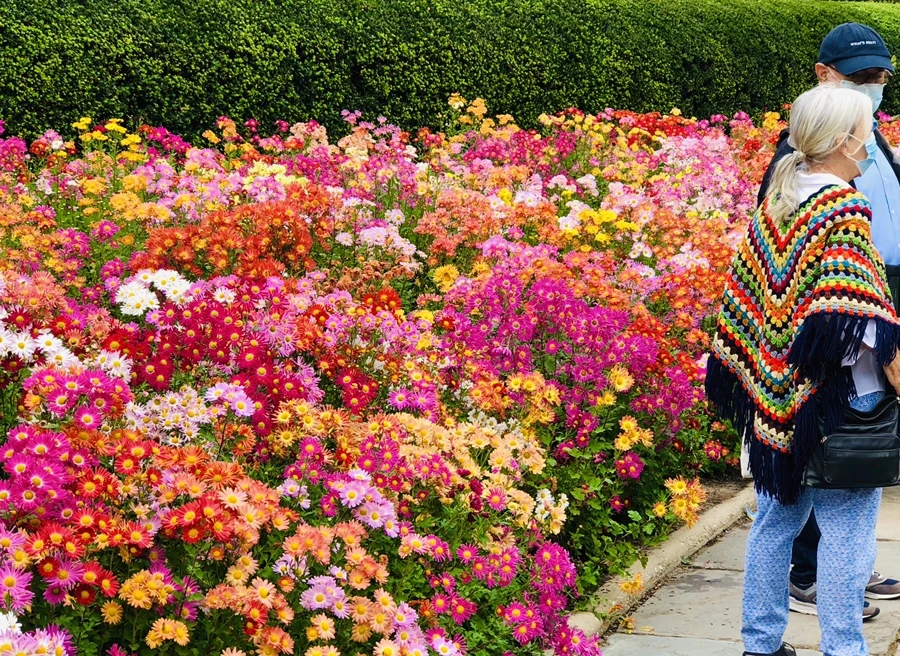 IMG_2554.jpg?type=w966