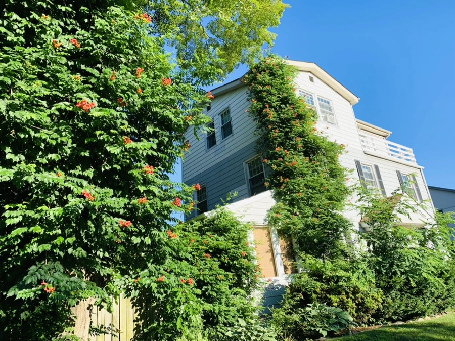 IMG_6246.jpg?type=w966