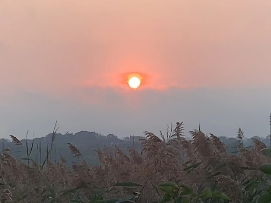 IMG_1129.jpg?type=w966