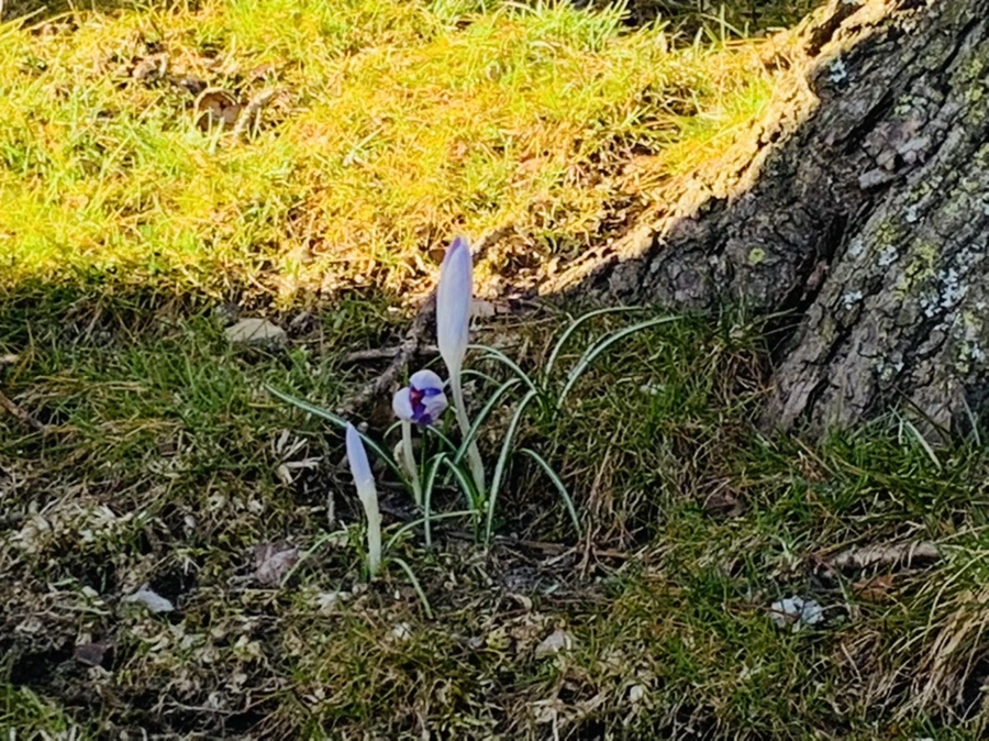 IMG_7490.jpg?type=w966