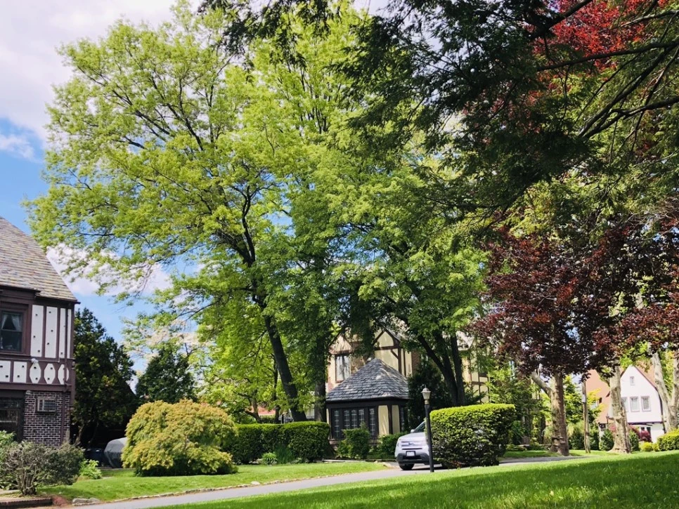 IMG_4676.jpg?type=w966