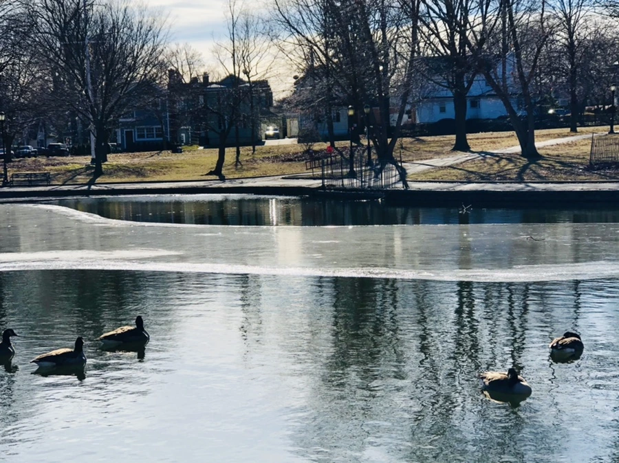 IMG_5516.jpg?type=w966