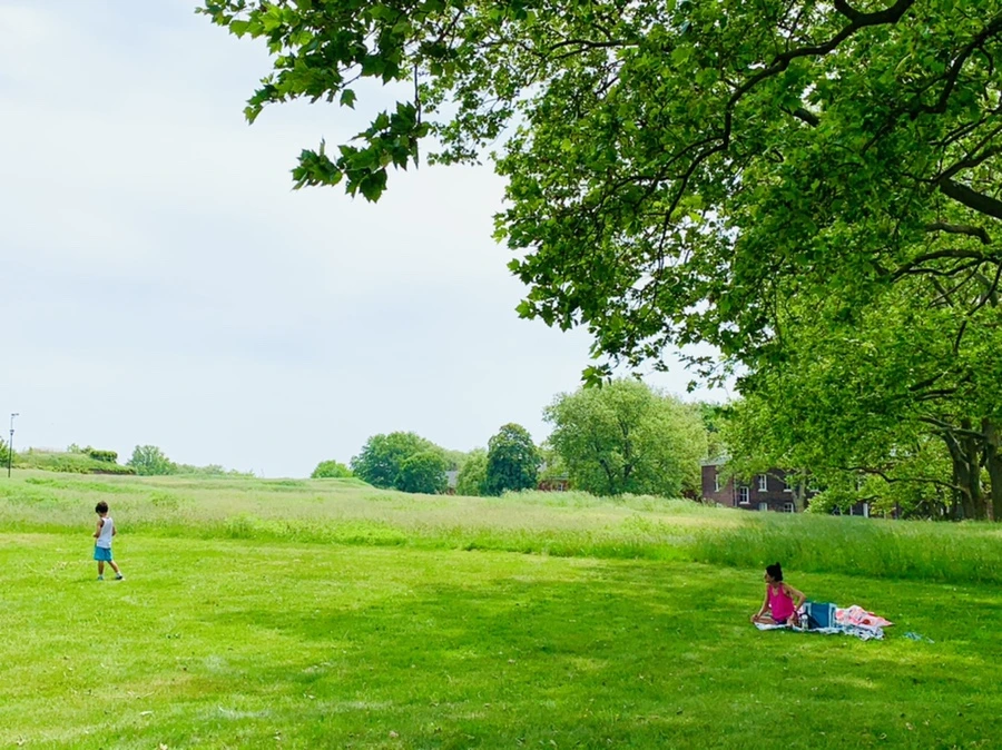 IMG_5146.jpg?type=w966