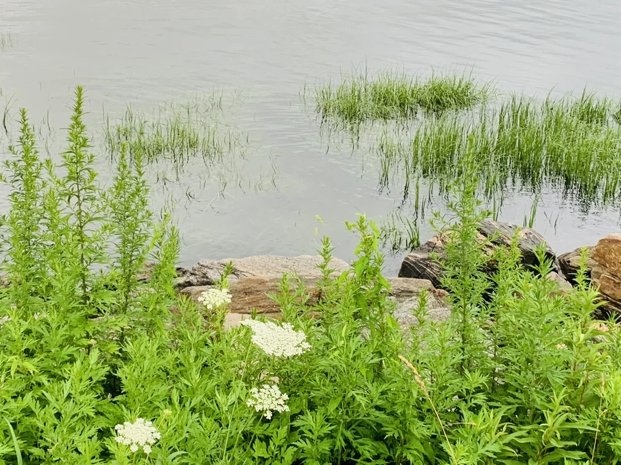 IMG_7122.jpg?type=w966