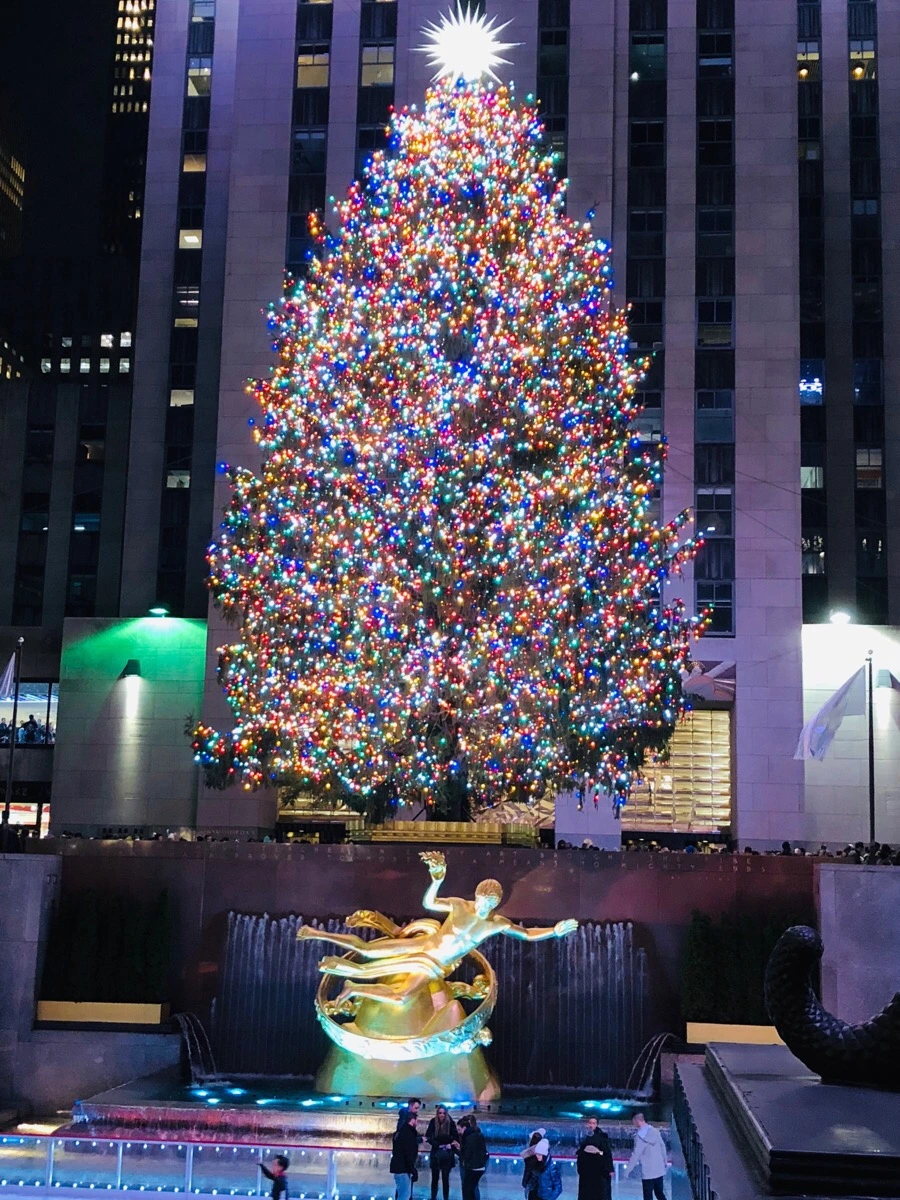 IMG_8166.jpg?type=w966