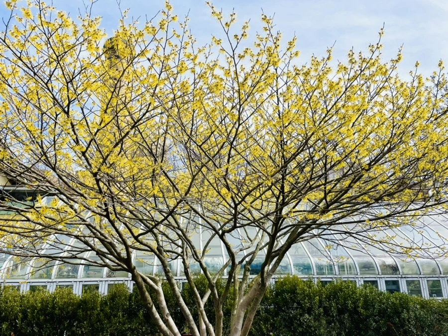 IMG_4169.jpg?type=w966