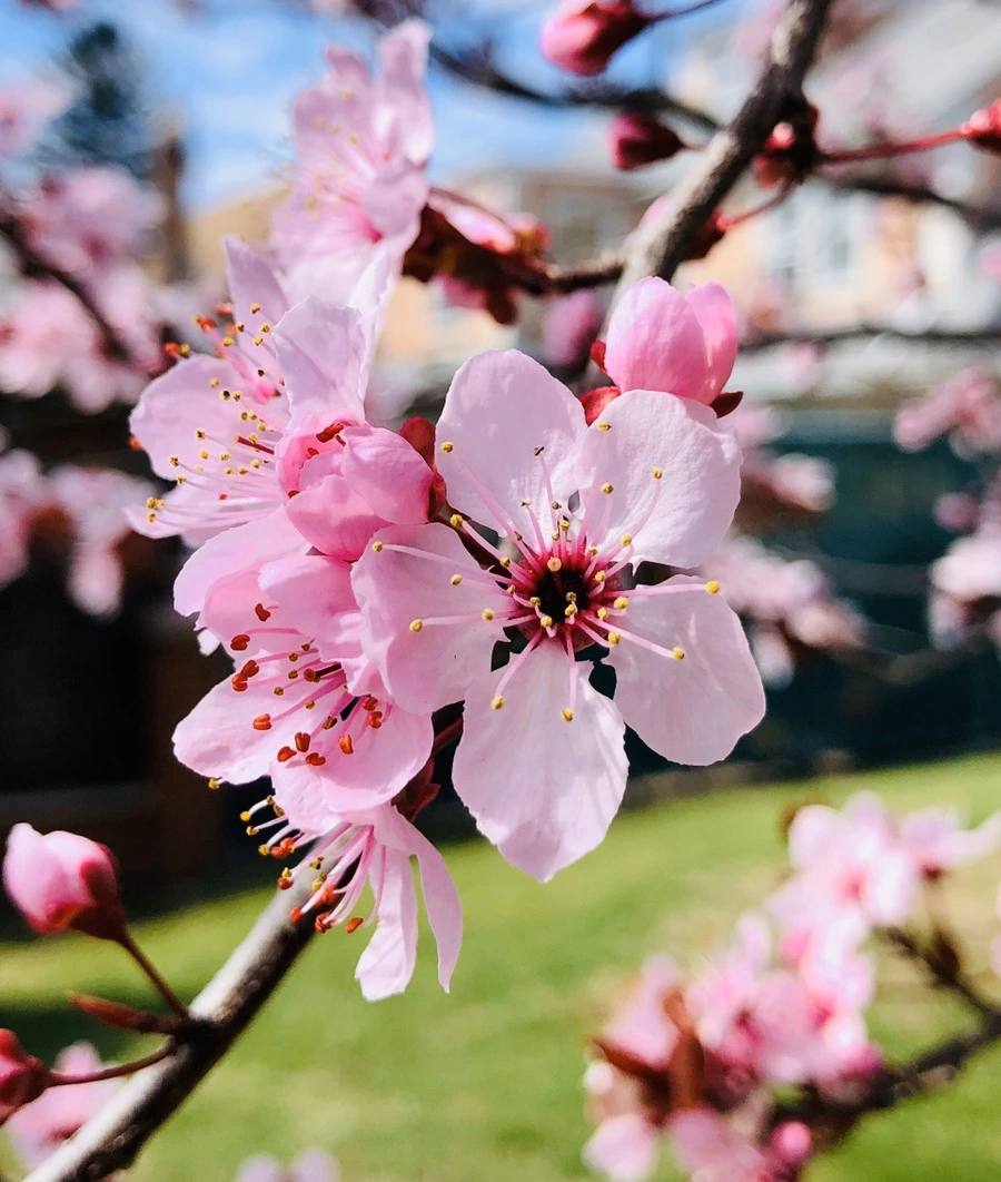 IMG_6600.jpg?type=w966