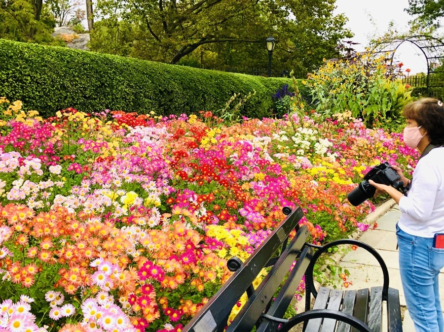 IMG_2469.jpg?type=w966