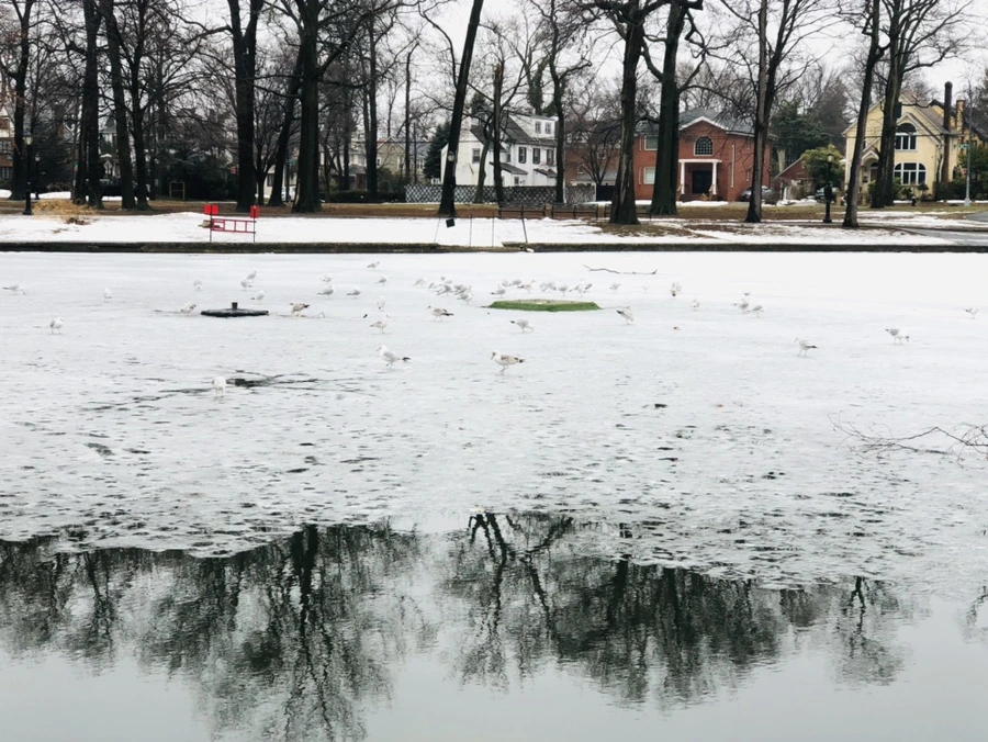 IMG_5544.jpg?type=w966