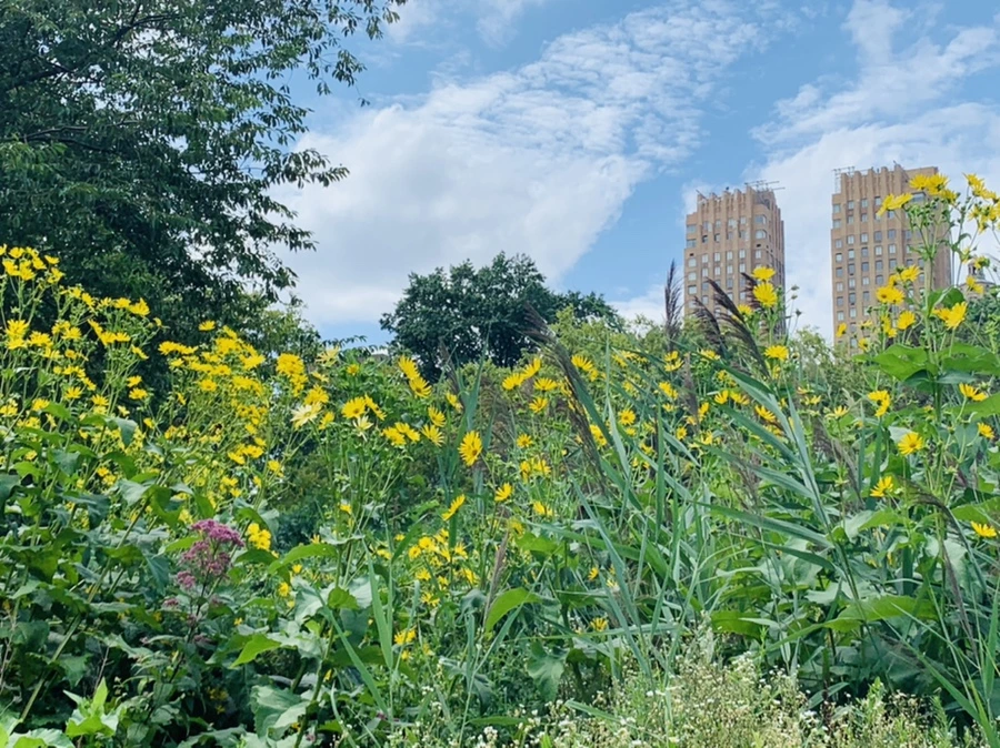 IMG_1584.jpg?type=w966