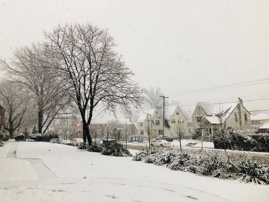 IMG_3306.jpg?type=w966