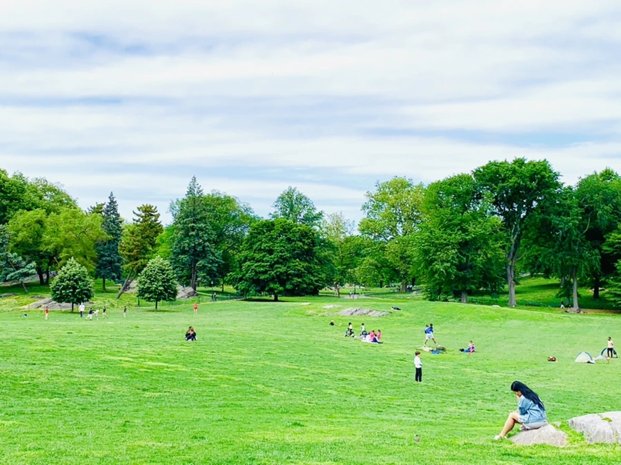 IMG_6414.jpg?type=w966