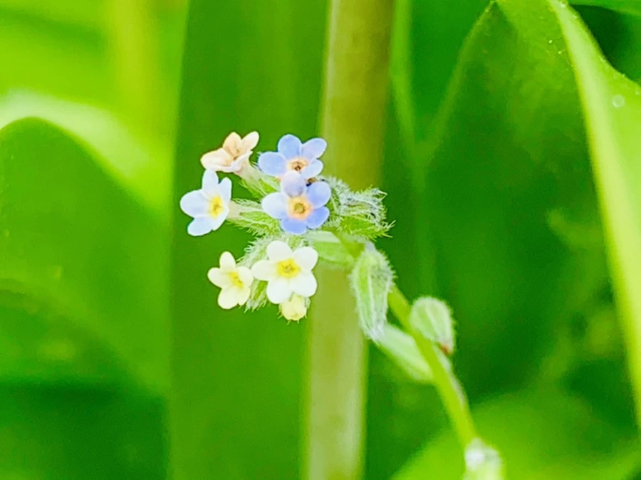 IMG_9587.jpg?type=w966