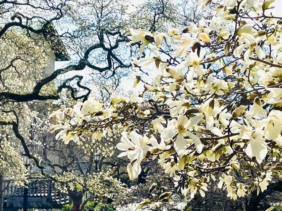 IMG_7056.jpg?type=w966